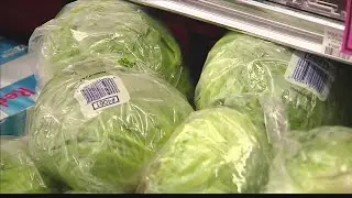 FDA pushes for 