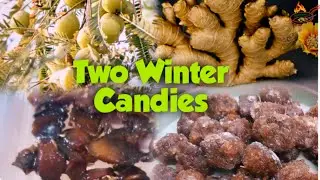 2 Easy & Healthy Candy Recipes: Amla Candy & Ginger Candy @Rimipy'sLab