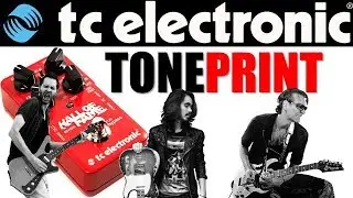 7 TIMBRES do TONEPRINT do HALL OF FAME  da Tc Electronic