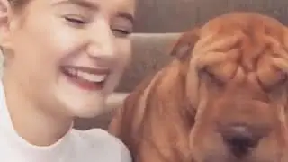 Insta sneezing