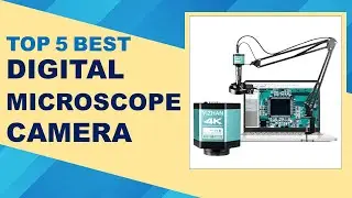 Top 5 Best Digital Microscope Camera in 2026 From AliExpress