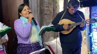 Himnario verde 335