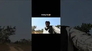 lunch break ke sath desi daru 🍻// #youtube