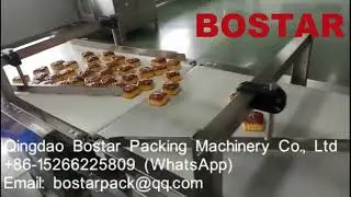 moon cake automatic ordering system fully automatic no manual horizontal packaging machine