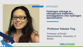Hydrogen storage in nanoporous materials &ndash; investigations into hydrogen densification