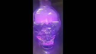 💀Totenkopf ☻ Shisha ☠