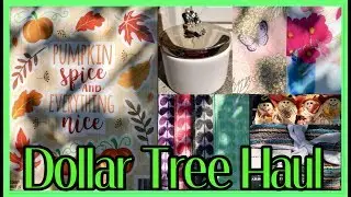 DOLLAR TREE HAUL | ALL NEW ITEMS | JULY 30 2019