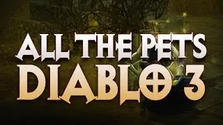 Diablo 3 - ALL PETS SEASON 9 (ALL PETS) - PWilhelm