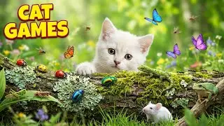 Cat Game Official 🐱🔥 &ndash; Best Interactive Cat TV With Mice & Birds