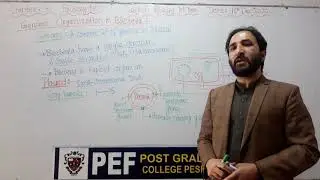 Biology 1st Year Genomic Organization in Bacteria