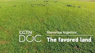 Glamorous Argentina Ep.3: The favored land