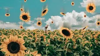 Meditation music to overcome breakup |and for depression, |stress relief lovemaking