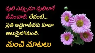 Top matalu #1275 | manchi matalu | telugu sukthulu | jeevitha satyalu | quotations | neethi vakyalu