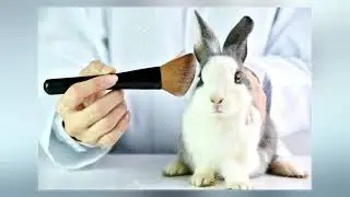 Rabbit Test