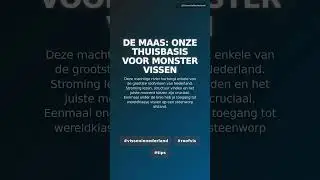 #visseninnederland #roofvis #tips Deze machtige rivier herbergt enkele van de grootste roofvissen va
