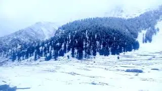 Heavy Snowfall in Naltar Gilgit Baltistan Pakistan