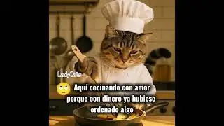 #Ysi con Amor 🙄😋😅😁😹🤣 #humor #ia #youtubeshorts