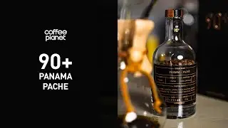 Coffee Planet 90+ Panama Pache
