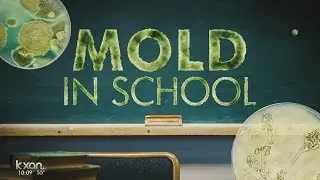Mom pulls child from school after mold test