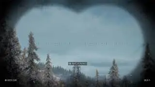 Days Gone - WTF?
