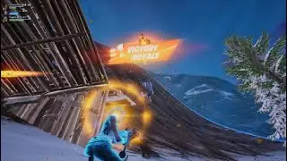 Tiger medallion VR