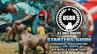 Starters Guide To The US Bully Registry (Pedigrees, Registration & Dog Shows)