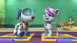 Roxi's highlights from paw patrol