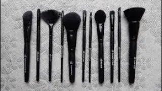 ELF 11 Piece Brush Set Review & My Some Favorite ELF Brushes || Logan Lynn