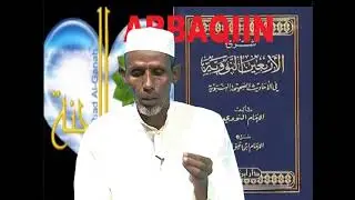 CADIIS ARBAQIIN 5