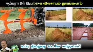 உப்பு நிலத்தை மாற்ற வேண்டுமா? இயற்கை விவசாயத்தை இப்போதே தொடங்கலாம்!