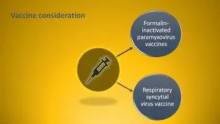Vaccine for Nipah Virus