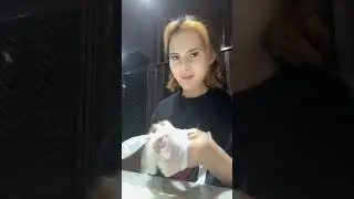 mandi world rawda #highlights #food #viral #highlights #youtube