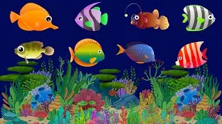Sleep Instantly in 3 Minutes &hearts; Calming Mozart Brahms Lullaby ♫ Lullaby Kids Baby Sleep #658