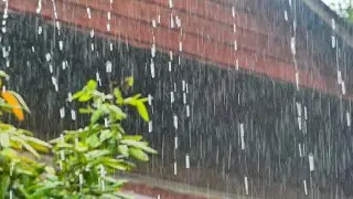 Relaxing Tropical Monsoon Rain  Natural Rain Sounds for Sleep & Relaxation