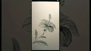 Easy Pencil Drawing Hacks ✏️ You Must Try! #shorts #trending #viral #animation