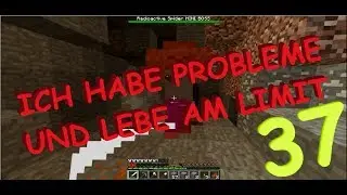 Ich habe Probleme und lebe am Limit! / Let's Play Minecraft #37