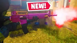 the NEW 