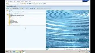 FSCM  Collections and Dispute management 1