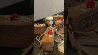 Milk boiling ceremony in clay pot🍯in Indian Housewarming ceremony/ Indian ritual/ గృహప్రవేశం #shorts