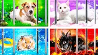 I Saved 4 Elements Pets from Jail! Fire, Water, Air and Earth Pets