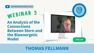 An Analysis of the Connections Between Stern and the Bioenergetic Model