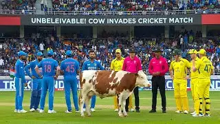 1 in a Billion Moments in Cricket 🤯 | Unseen & Unbelievable Cricket Incidents