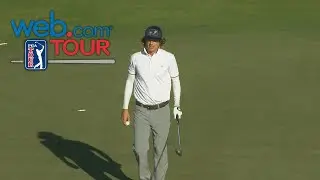 Willy Wilcox's chip-in par save