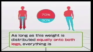 Wii Fit