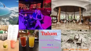 Наш первый день в Тулуме! Catalonia Royal Tulum, шоу Rauxa и множество диких животных