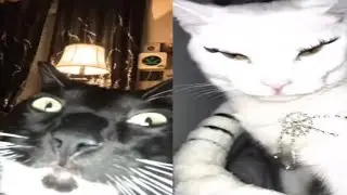 What I look like VS What she looks like