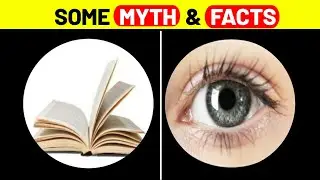 Some Myth & Facts 😱 || #short #mkfacto #youtubeshort #viral