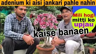 Adenium ki aisi jankari pahle nahin Mili hogi mitti ko upjau kaise banaen