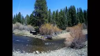Emigrant Trail Loop