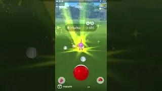 Mudkip Community Day Classic